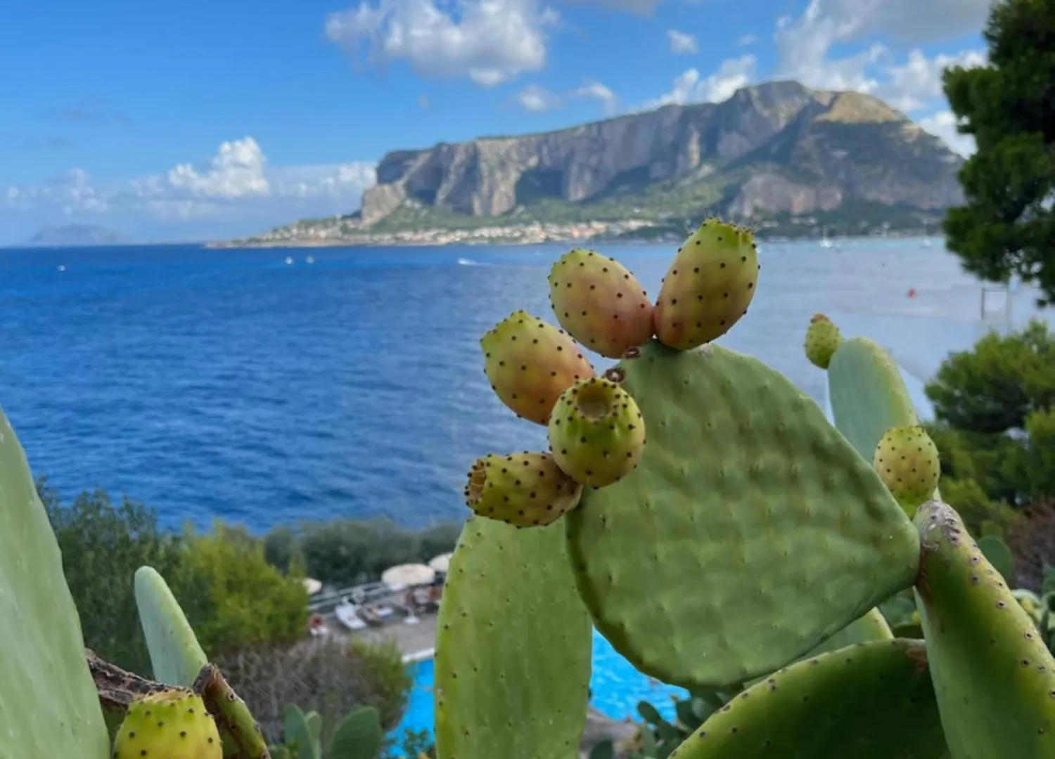 Matasca Casa Vancanze Palermo Italy